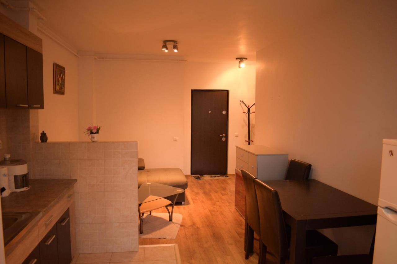Appartamento Apartament Alexandru Sibiu Esterno foto
