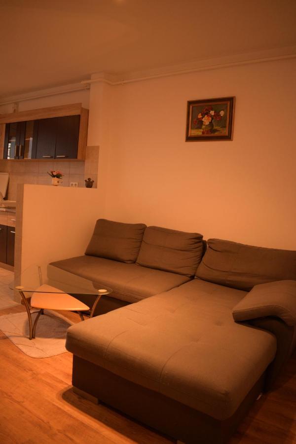 Appartamento Apartament Alexandru Sibiu Esterno foto